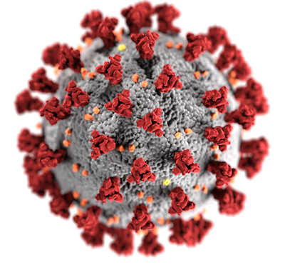 Corona Virus