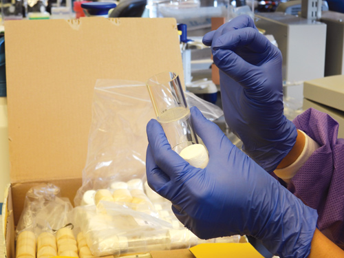 A lab technician explains how scientists use artificial feeding chambers to research disease transmission.