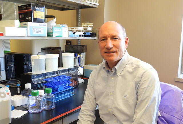 PEF scientist secures $9M grant to study human immune response to Lyme disease bacteria with eye toward treatment