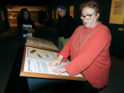 Members at State Museum make mushrooms exhibit accessible 