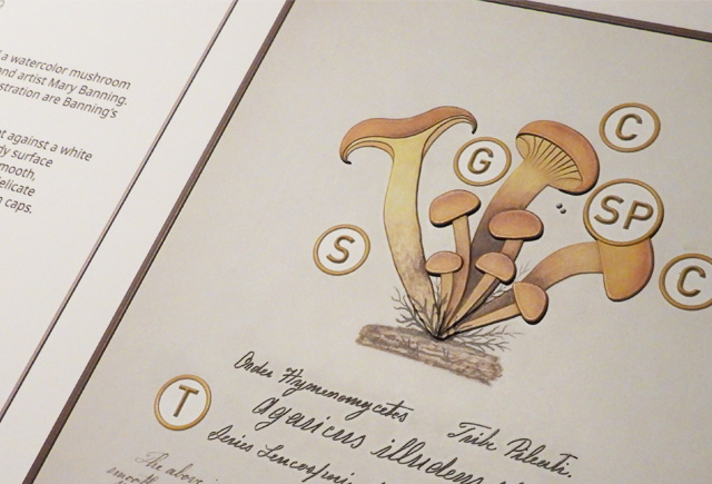 Members at State Museum make mushrooms exhibit accessible 