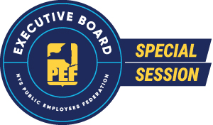 Executive Board Special Session
